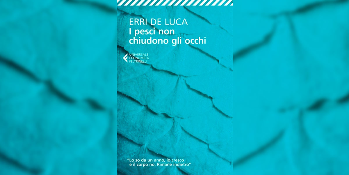 I Pesci Non Chiudono Gli Occhi Frasi